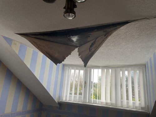 How Action Insurance Repair supported an elderly client through a roof leak and repair